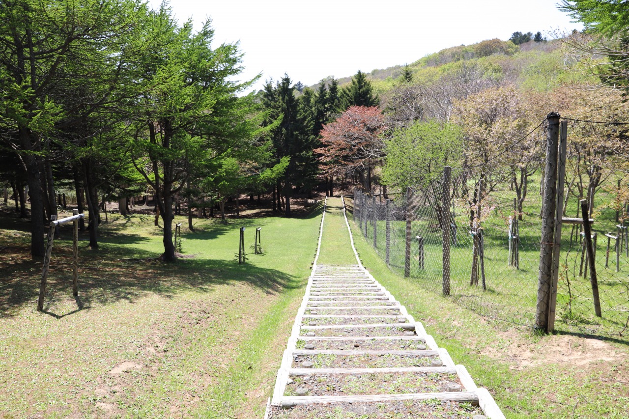 稚内森林公園キャンプ場