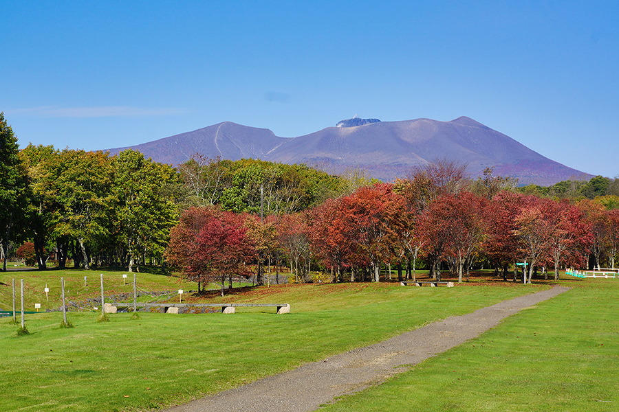 苫小牧アルテン