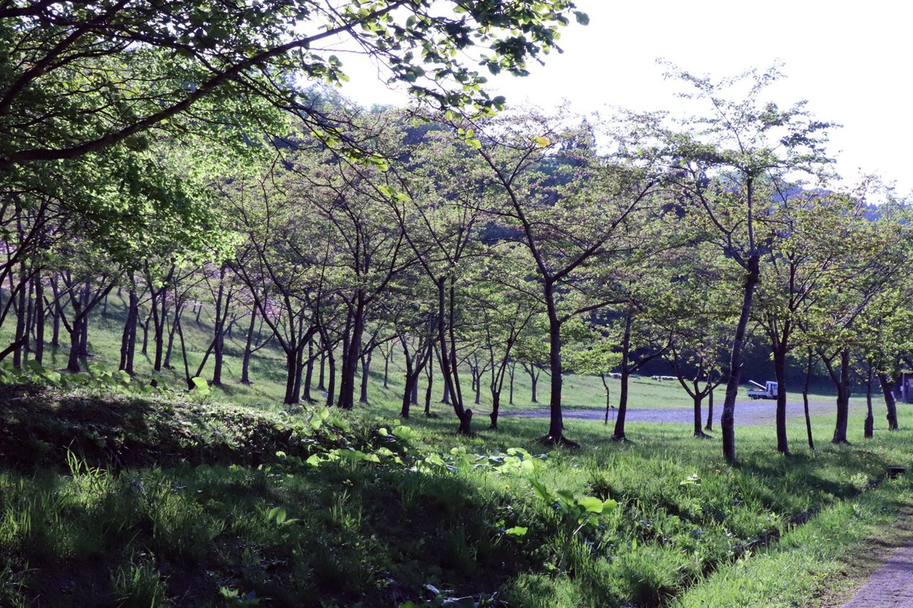 上磯ダム公園キャンプ場