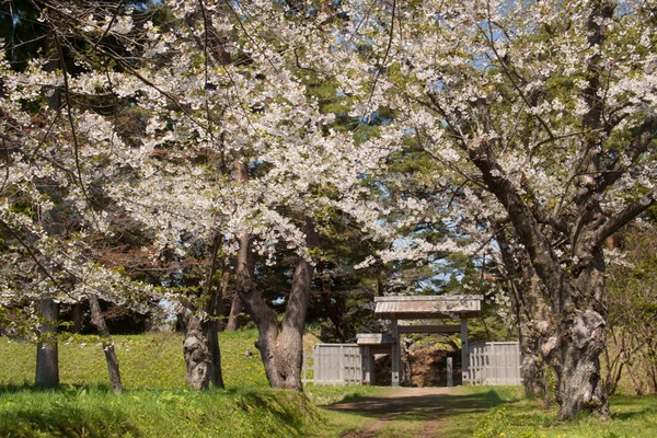 上磯ダム公園キャンプ場3