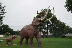 ナウマン公園キャンプ場 place picture