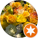 megu dori profile picture