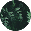 iiigo profile picture