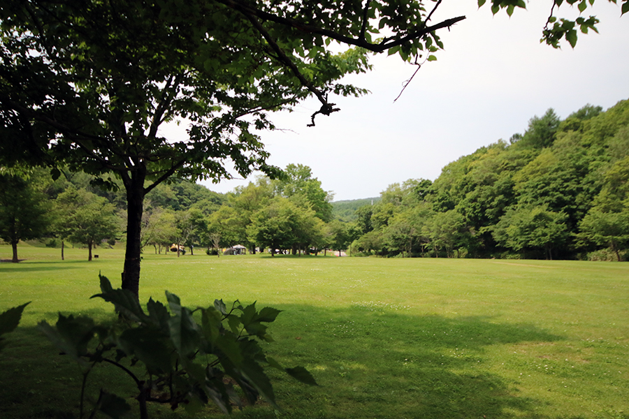 厚田キャンプ場キャンプサイト