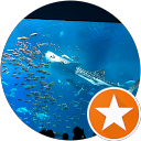 Fu kuro- profile picture