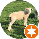 poi poteto profile picture