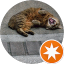 Hiro Y profile picture