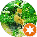 こはる profile picture