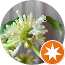 yamaモグモグ profile picture