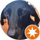 C Leavitt profile picture