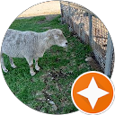 ハムキャンプ profile picture