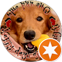 M.ダックス騎士くん profile picture