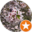 S Kuwahara profile picture