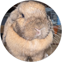 荒生健裕 profile picture