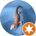 pandaful profile picture